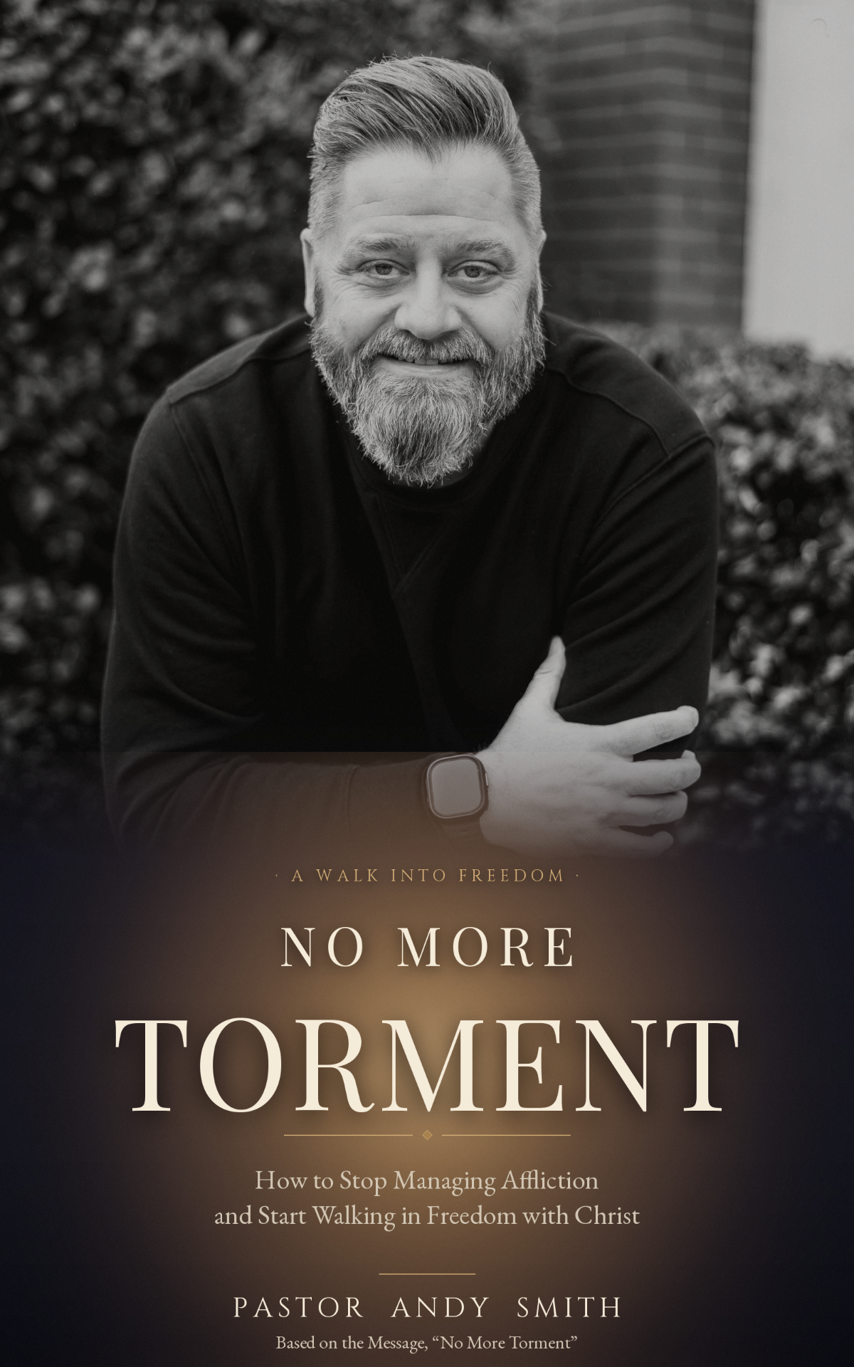 No More Torment book cover